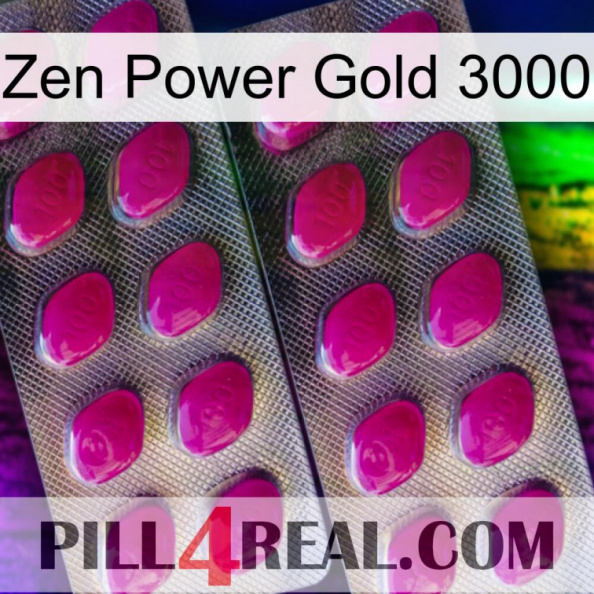Zen Power Gold 3000 10